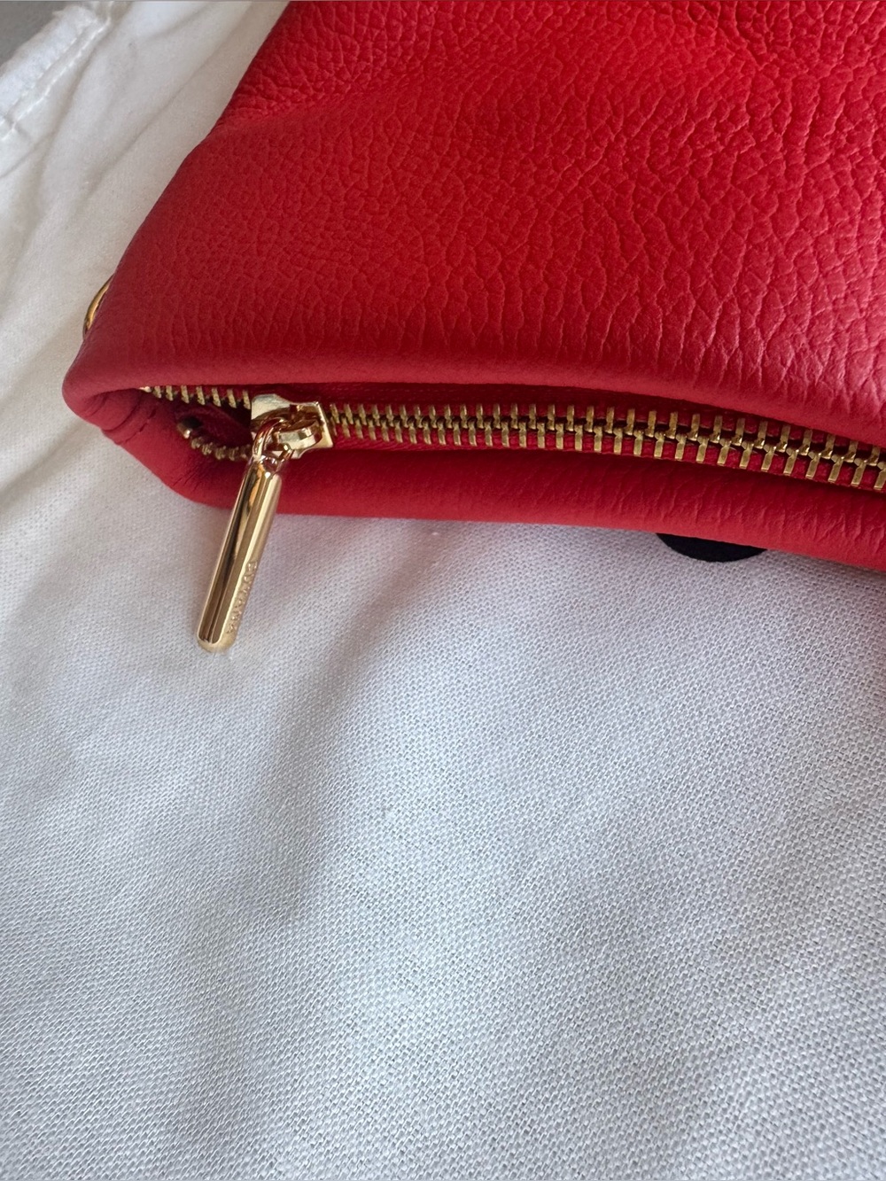 NWT Cuyana Small Easy Zipper Tote in Chili - Picture 10 of 12